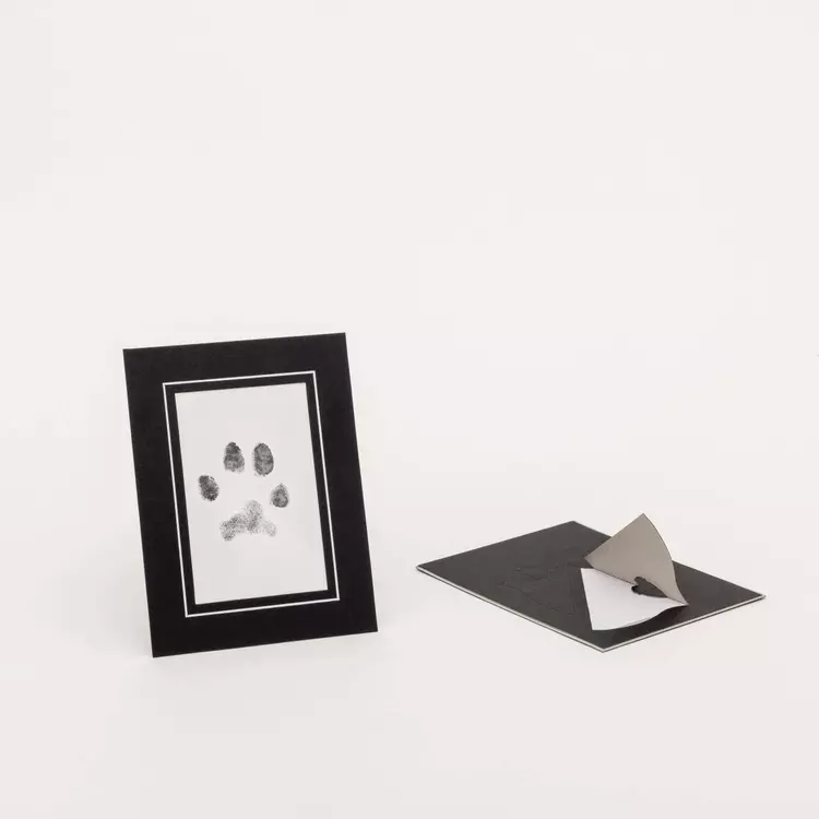 Inkless Paw Print Phoenix Pet Cremations